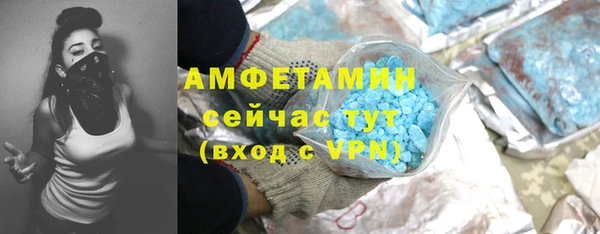 индика Балабаново
