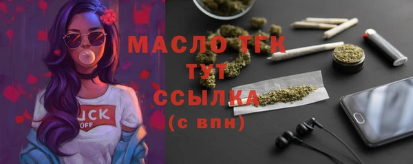 гидра Арсеньев