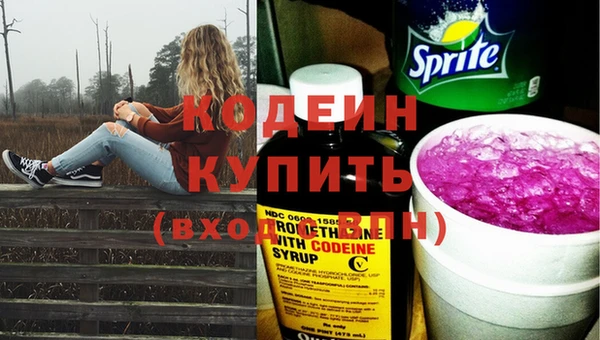 гидра Арсеньев