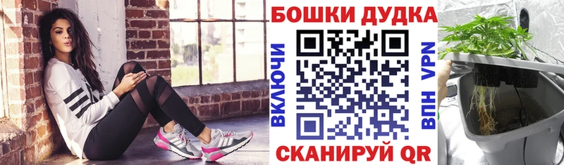 Бошки Шишки ГИДРОПОН гидра ССЫЛКА Трёхгорный как найти наркотики